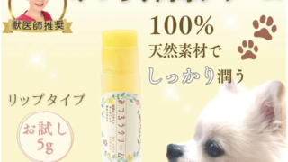みつろう肉球クリーム MY CUTE FAMILY どこで買える 最安値 口コミ 真相